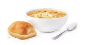 Regular Chicken Noodle Soup
